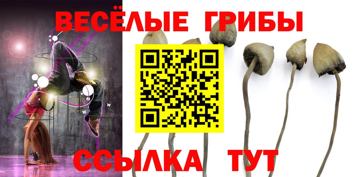 Псилоцибиновые грибы Psilocybine cubensis  Вход с VPN  как найти   Тобольск 
